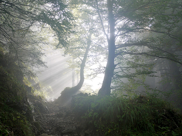 In Times of Distress