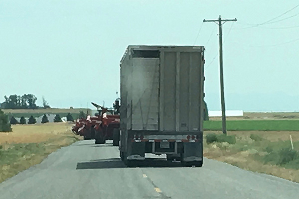 Taking Life in Stride