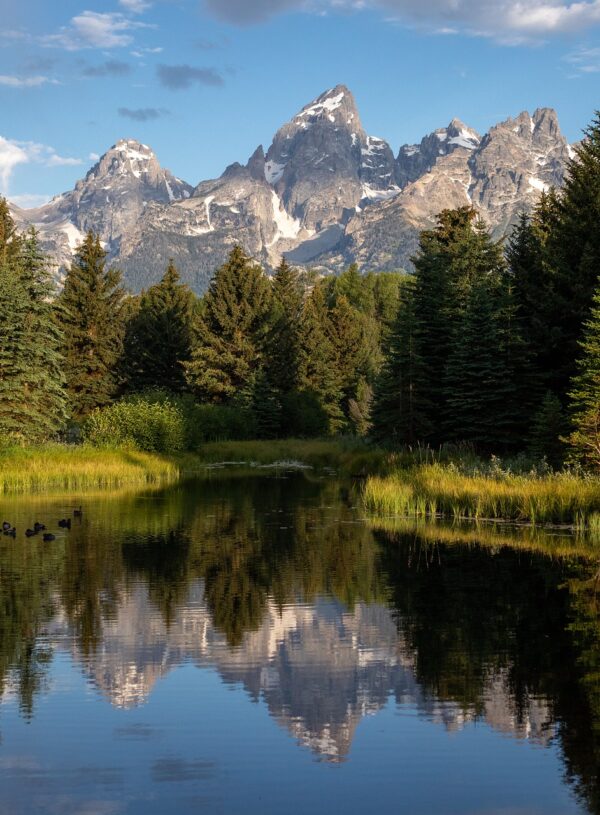 Uplifted, Renewed, and Replenished