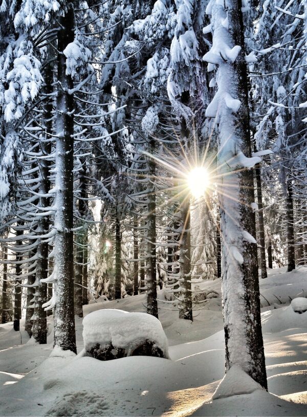 A Higher Power Is At Work