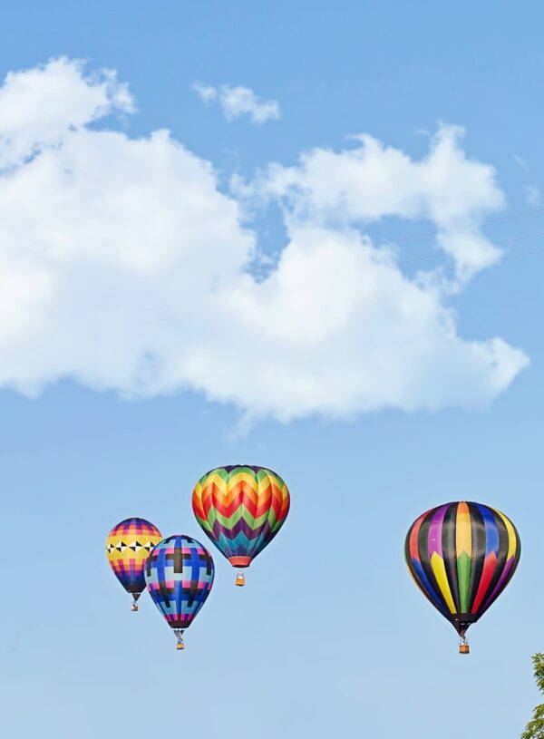 Letting Go Brings New Life