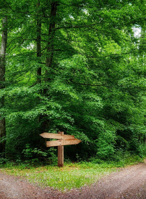 How To Handle Uncertainty