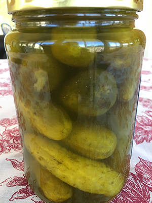 The message from the pickle jar: What are you focusing on?