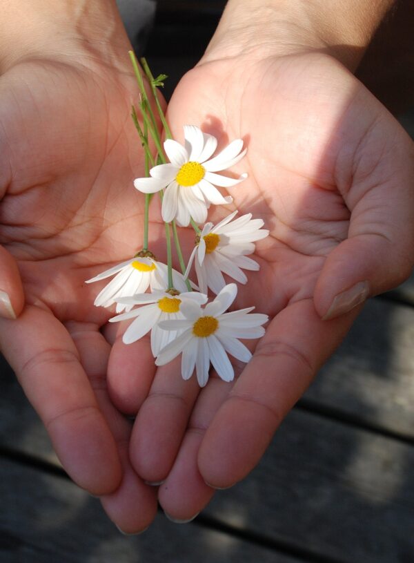 Be Kind And Loving Because That’s Who You Are