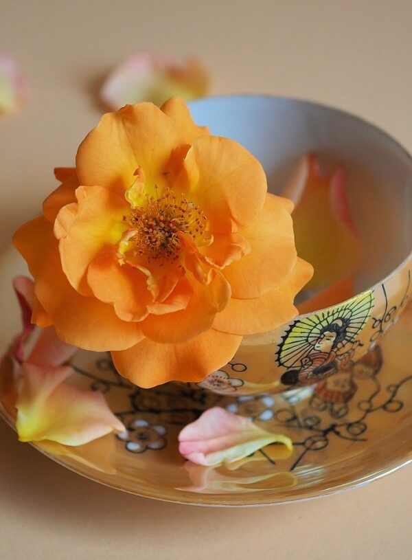 A Different Kind of Good