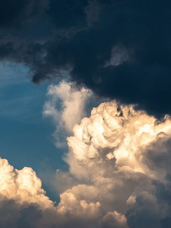 Finding Peace in Chaos