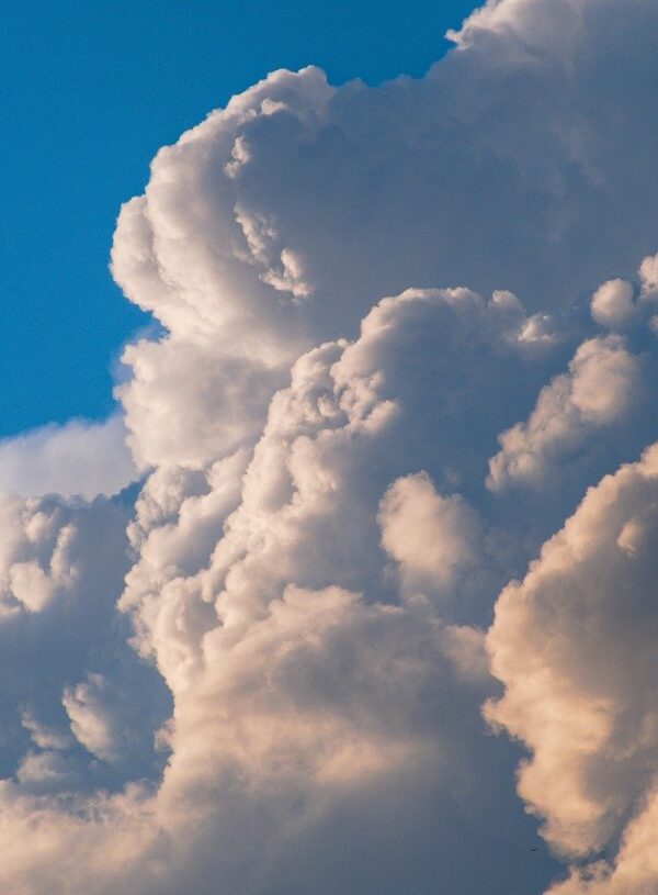 7 Truths to Help You Overcome Adversity