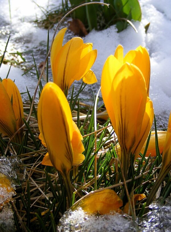 Christ Brings Hope and Healing