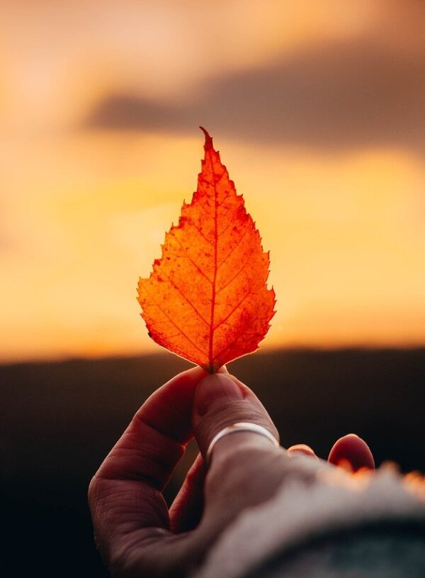 Simple Solutions to Restore Your Holiday Balance